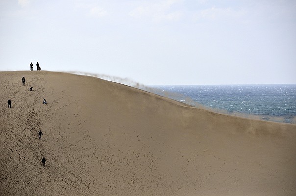 砂丘１.jpg